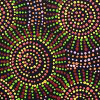 Aboriginal Artwork by Tina Napangardi Martin, Jinti-parnta Jukurrpa, 30x30cm
