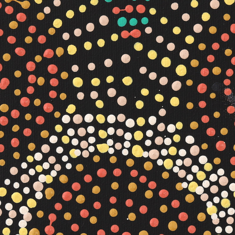 Aboriginal Artwork by Tina Napangardi Martin, Jinti-parnta Jukurrpa, 30x30cm