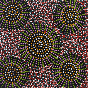 Aboriginal Art by Tina Napangardi Martin, Jinti-parnta Jukurrpa, 30x30cm - ART ARK®