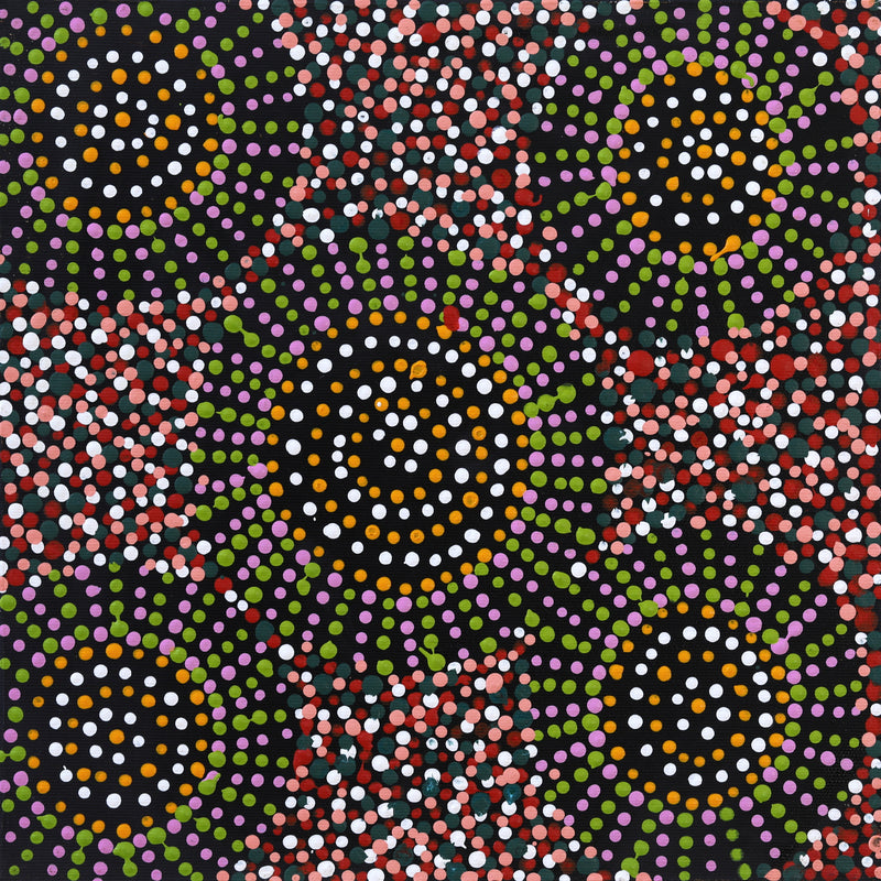 Aboriginal Artwork by Tina Napangardi Martin, Jinti-parnta Jukurrpa, 30x30cm