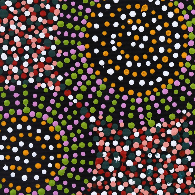 Aboriginal Artwork by Tina Napangardi Martin, Jinti-parnta Jukurrpa, 30x30cm