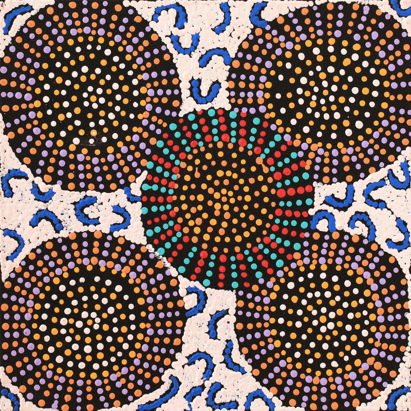 Aboriginal Artwork by Tina Napangardi Martin, Jinti-parnta Jukurrpa, 30x30cm