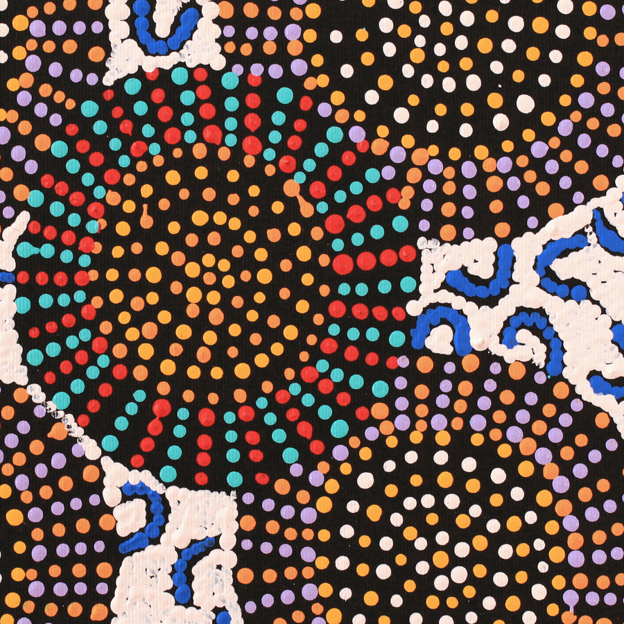 Aboriginal Artwork by Tina Napangardi Martin, Jinti-parnta Jukurrpa, 30x30cm
