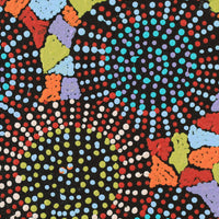 Aboriginal Artwork by Tina Napangardi Martin, Jinti-parnta Jukurrpa, 30x30cm