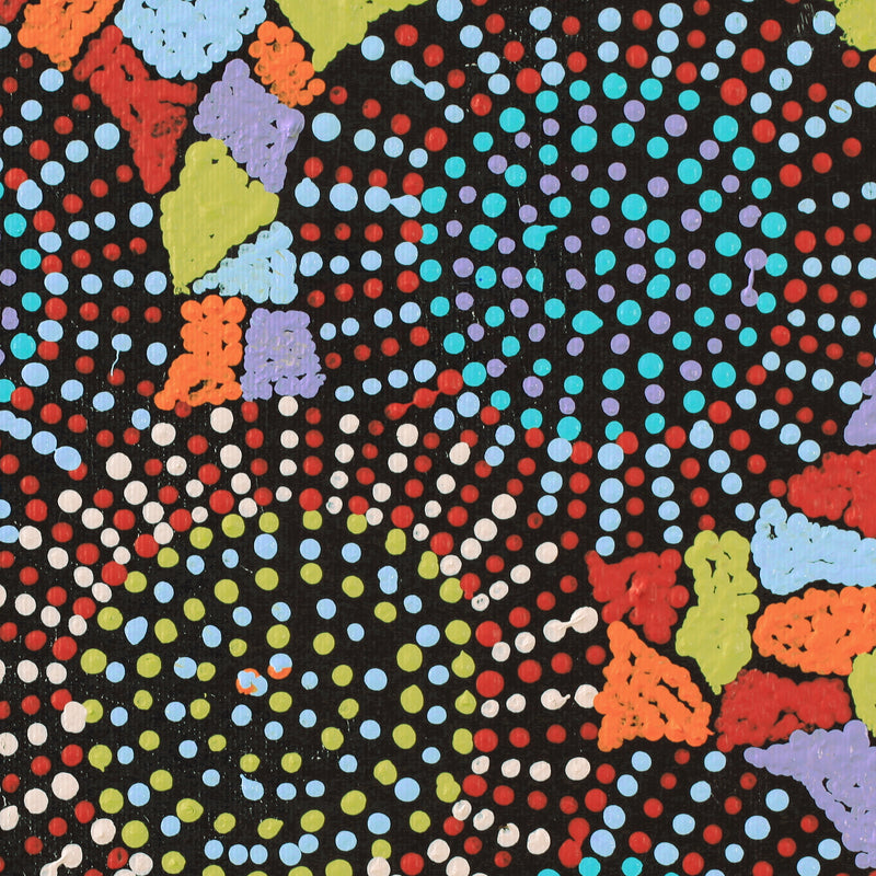 Aboriginal Artwork by Tina Napangardi Martin, Jinti-parnta Jukurrpa, 30x30cm