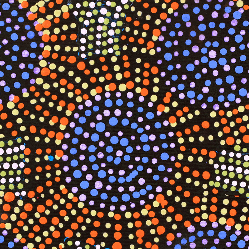 Aboriginal Artwork by Tina Napangardi Martin, Jinti-parnta Jukurrpa, 30x30cm