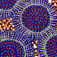 Aboriginal Artwork by Tina Napangardi Martin, Jinti-parnta Jukurrpa, 30x30cm