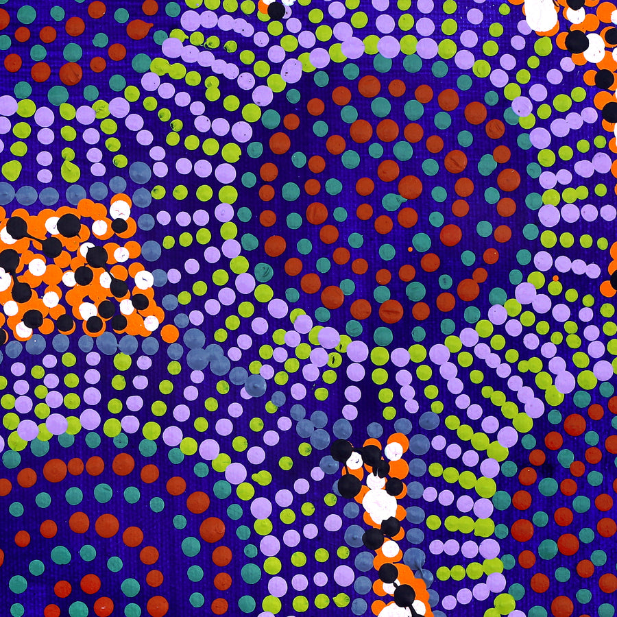 Aboriginal Artwork by Tina Napangardi Martin, Jinti-parnta Jukurrpa, 30x30cm