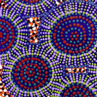 Aboriginal Artwork by Tina Napangardi Martin, Jinti-parnta Jukurrpa, 30x30cm