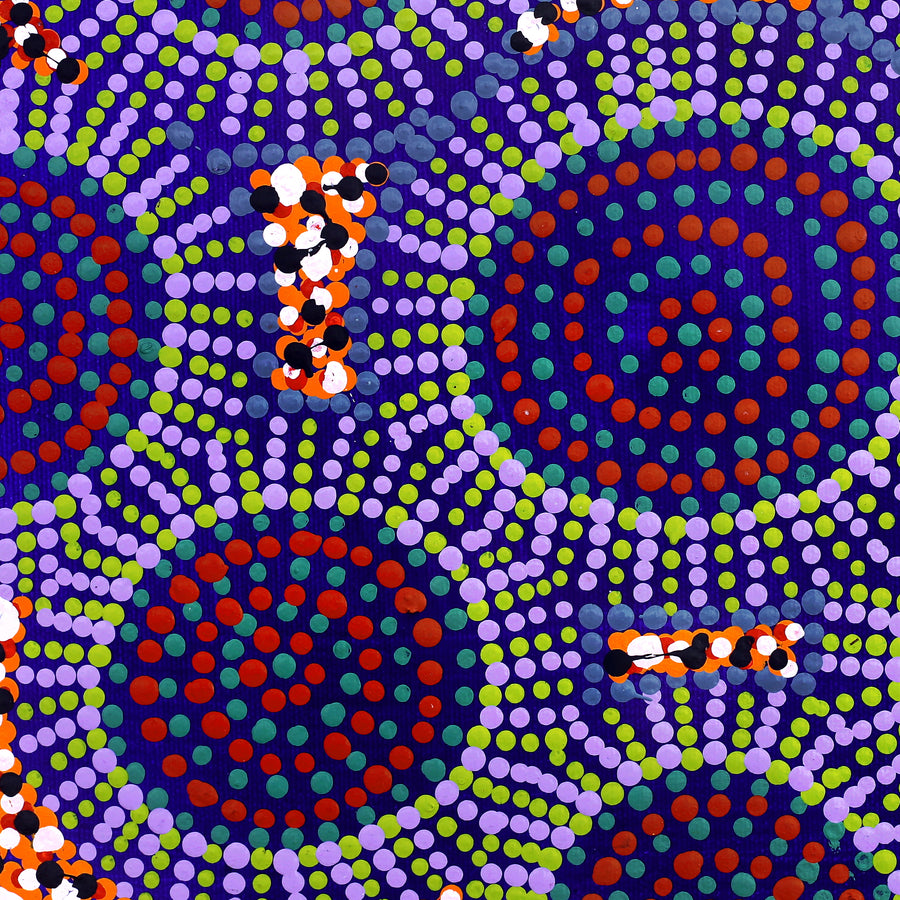 Aboriginal Artwork by Tina Napangardi Martin, Jinti-parnta Jukurrpa, 30x30cm