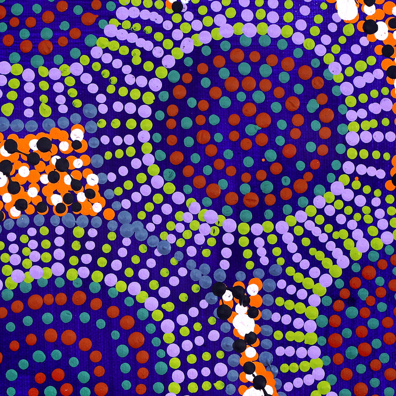 Aboriginal Artwork by Tina Napangardi Martin, Jinti-parnta Jukurrpa, 30x30cm