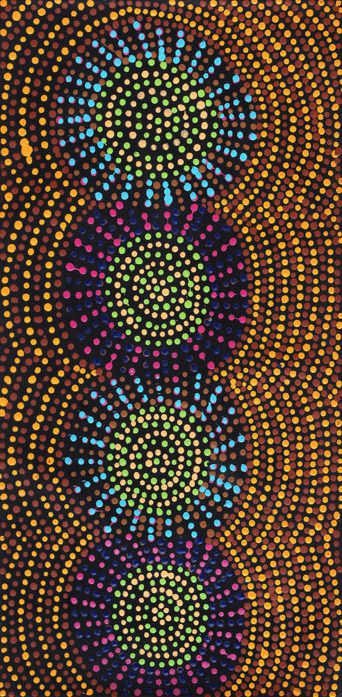 Aboriginal Artwork by Tina Napangardi Martin, Jinti-parnta Jukurrpa, 61x30cm