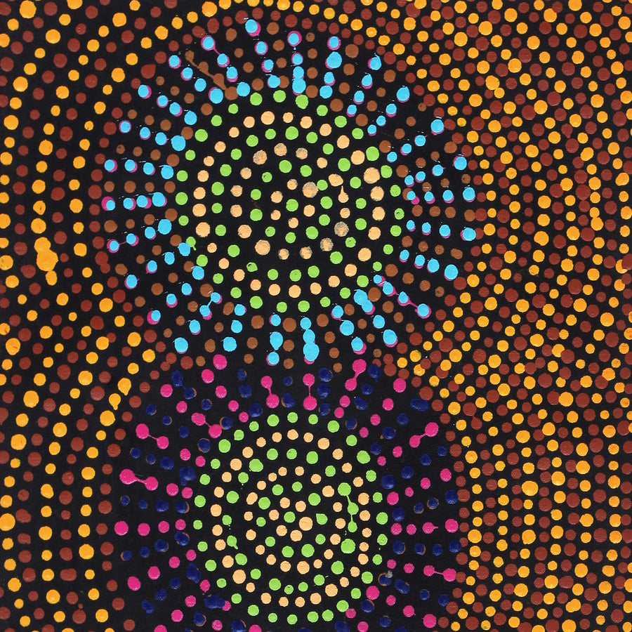 Aboriginal Artwork by Tina Napangardi Martin, Jinti-parnta Jukurrpa, 61x30cm