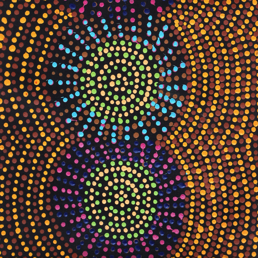 Aboriginal Artwork by Tina Napangardi Martin, Jinti-parnta Jukurrpa, 61x30cm