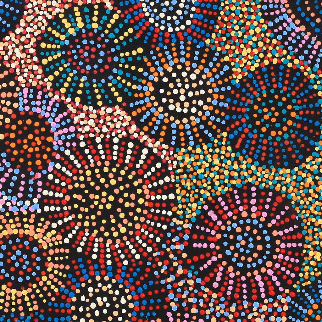 Aboriginal Artwork by Tina Napangardi Martin, Jinti-parnta Jukurrpa, 61x46cm