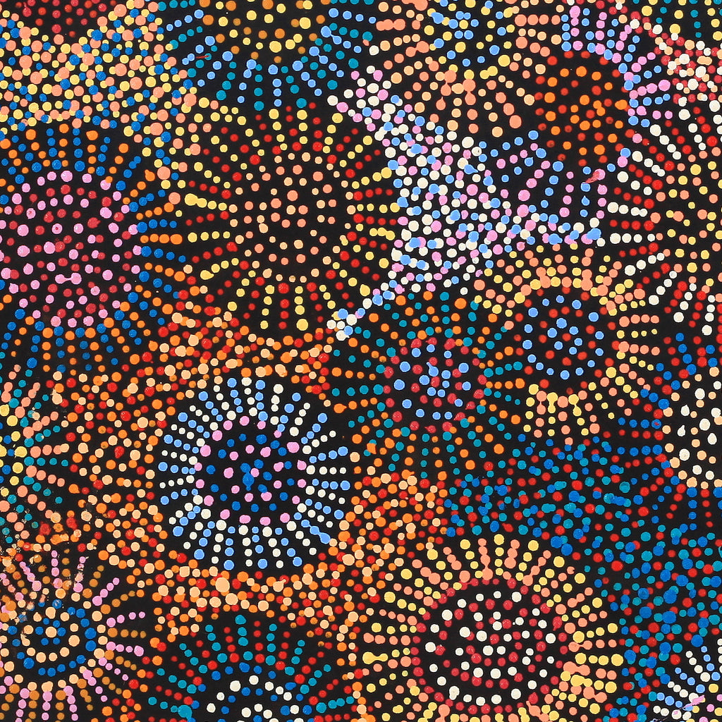 Aboriginal Artwork by Tina Napangardi Martin, Jinti-parnta Jukurrpa, 61x46cm