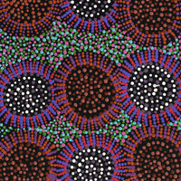 Aboriginal Artwork by Tina Napangardi Martin, Jintiparnta Jukurrpa (Desert Truffle Dreaming) - Mina Mina, 76x30cm