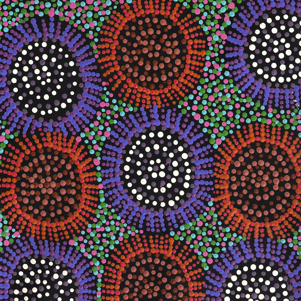 Aboriginal Artwork by Tina Napangardi Martin, Jintiparnta Jukurrpa (Desert Truffle Dreaming) - Mina Mina, 76x30cm