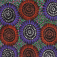 Aboriginal Artwork by Tina Napangardi Martin, Jintiparnta Jukurrpa (Desert Truffle Dreaming) - Mina Mina, 76x30cm