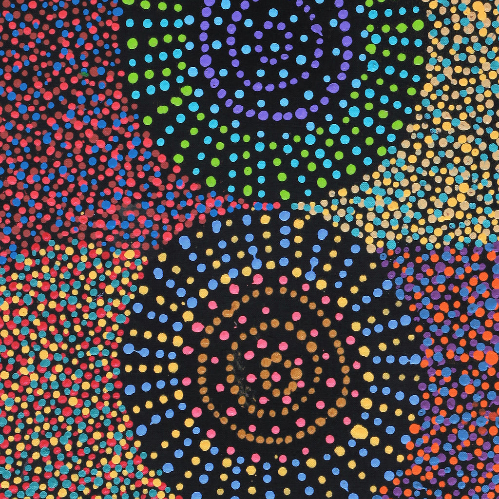 Aboriginal Artwork by Tina Napangardi Martin, Jinti-parnta Jukurrpa, 91x30cm
