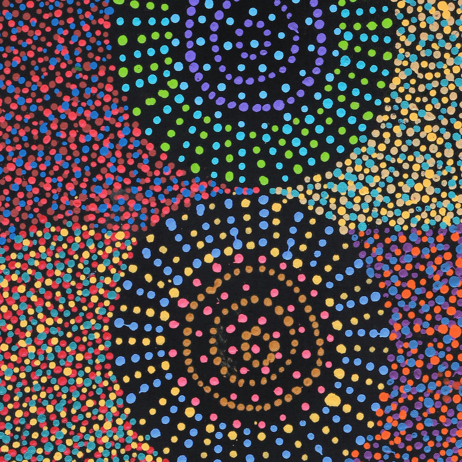 Aboriginal Artwork by Tina Napangardi Martin, Jinti-parnta Jukurrpa, 91x30cm