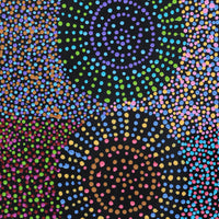 Aboriginal Artwork by Tina Napangardi Martin, Jinti-parnta Jukurrpa, 91x30cm