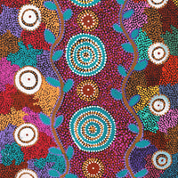 Aboriginal Artwork by Tina Napangardi Martin, Jintiparnta Jukurrpa (Desert Truffle Dreaming) - Mina Mina, 91x46cm