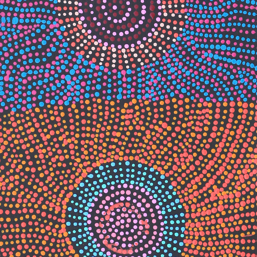Aboriginal Artwork by Tina Napangardi Martin, Jinti-parnta Jukurrpa, 122x30cm
