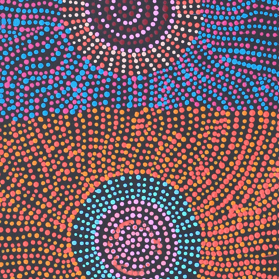 Aboriginal Artwork by Tina Napangardi Martin, Jinti-parnta Jukurrpa, 122x30cm
