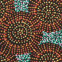 Aboriginal Artwork by Tina Napangardi Martin, Jinti-parnta Jukurrpa, 30x30cm