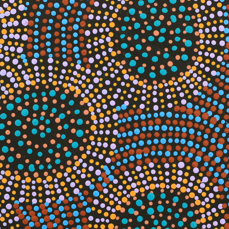 Aboriginal Artwork by Tina Napangardi Martin, Jinti-parnta Jukurrpa, 30x30cm