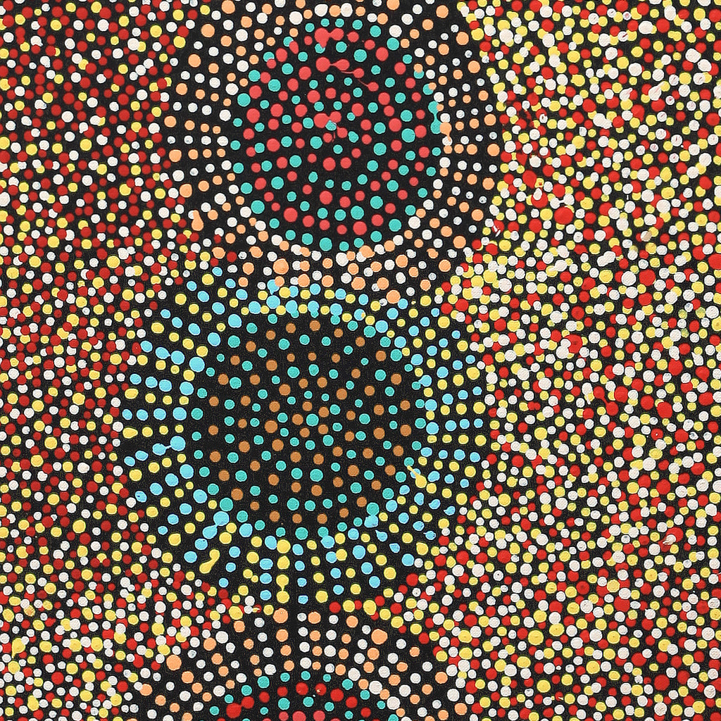 Aboriginal Artwork by Tina Napangardi Martin, Jinti-parnta Jukurrpa, 107x30cm