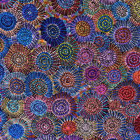 Aboriginal Artwork by Tina Napangardi Martin, Jinti-parnta Jukurrpa, 122x107cm