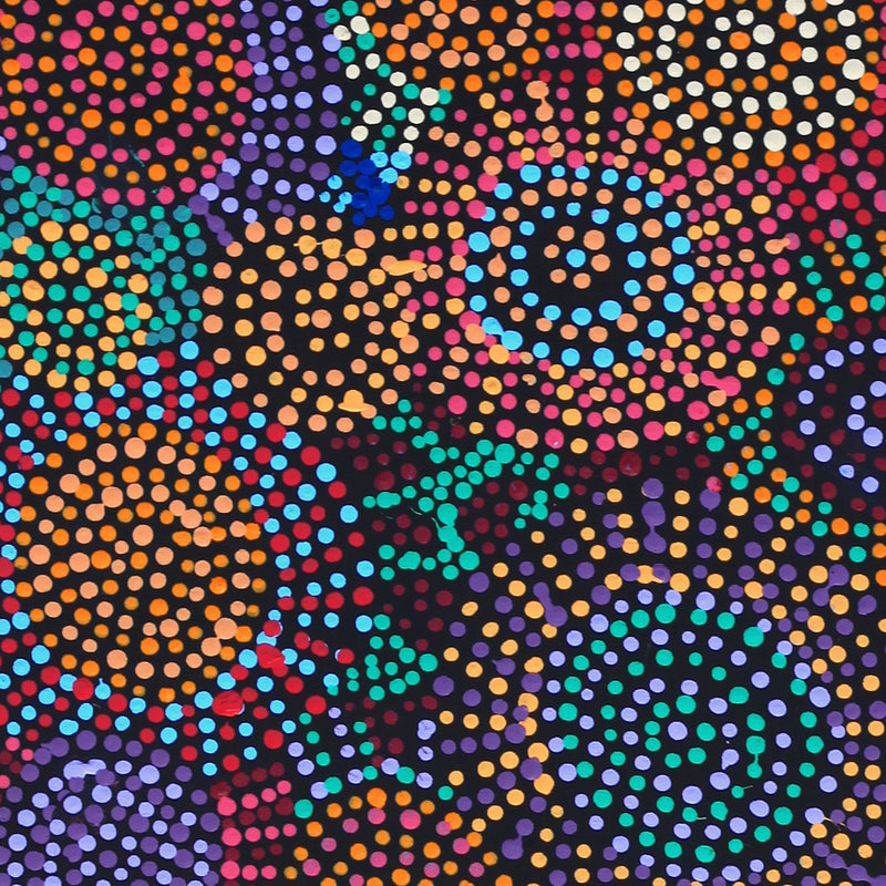 Aboriginal Artwork by Tina Napangardi Martin, Jinti-parnta Jukurrpa, 122x30cm