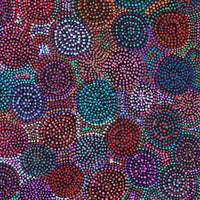 Aboriginal Artwork by Tina Napangardi Martin, Jinti-parnta Jukurrpa, 122x61cm