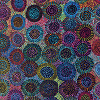 Aboriginal Artwork by Tina Napangardi Martin, Jinti-parnta Jukurrpa, 152x91cm
