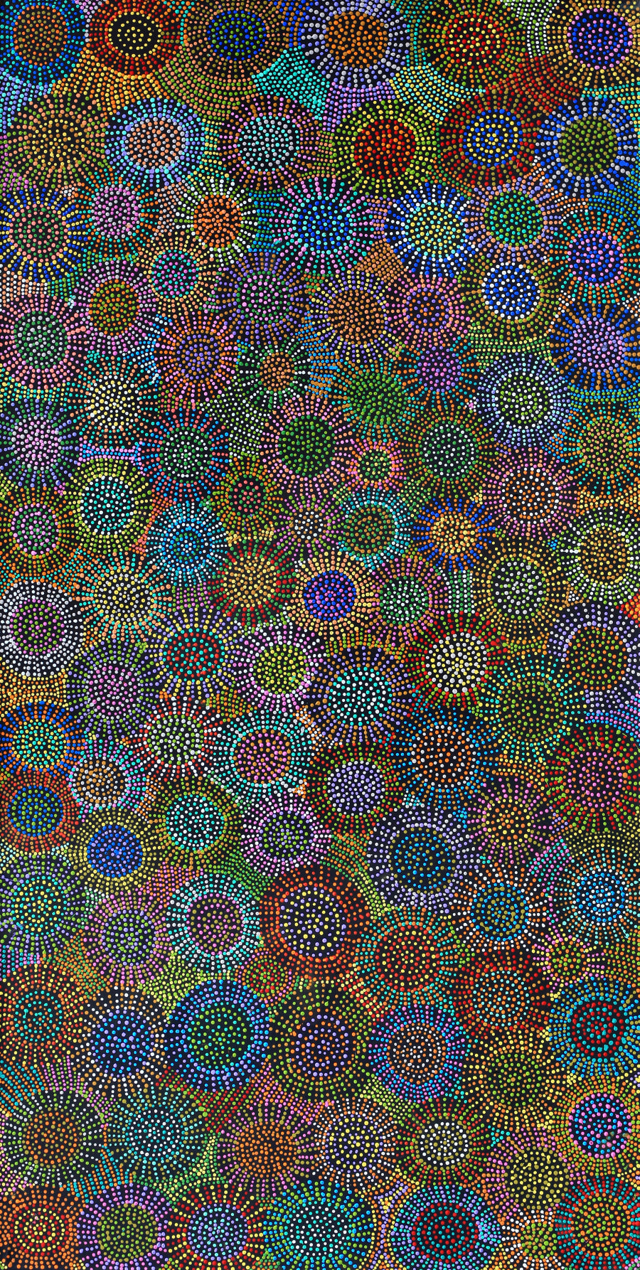 Aboriginal Artwork by Tina Napangardi Martin, Jinti-parnta Jukurrpa, 182x91cm