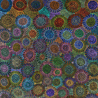 Aboriginal Artwork by Tina Napangardi Martin, Jinti-parnta Jukurrpa, 182x91cm