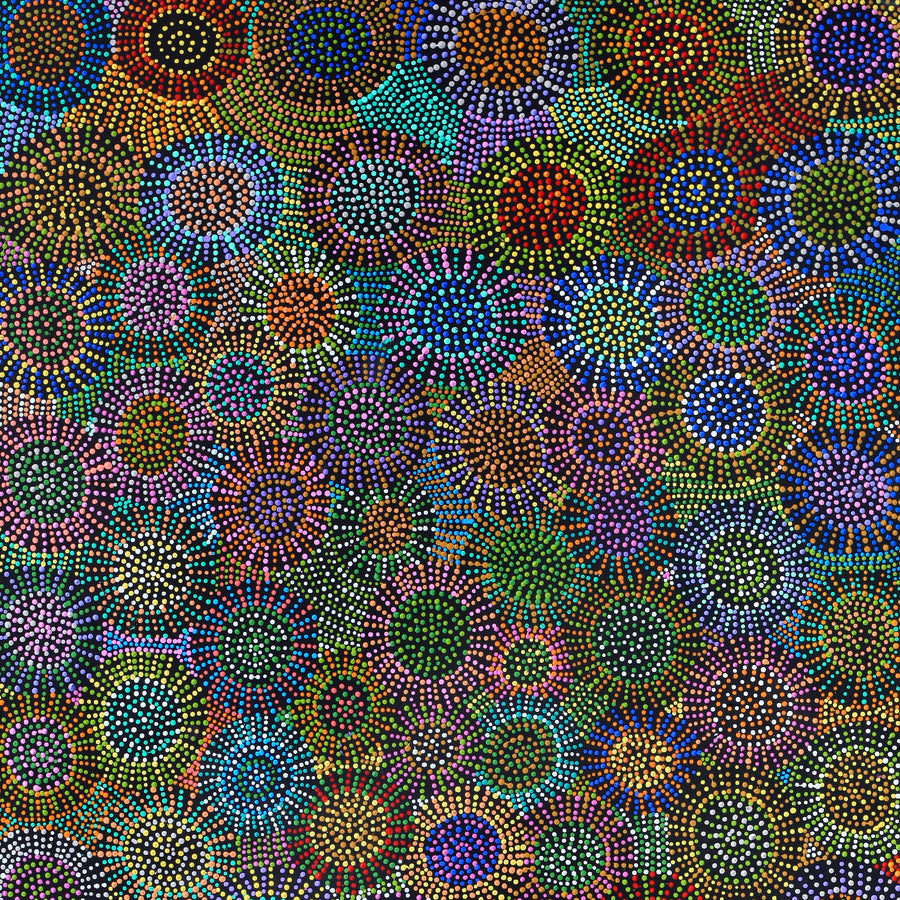 Aboriginal Artwork by Tina Napangardi Martin, Jinti-parnta Jukurrpa, 182x91cm
