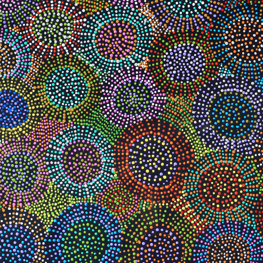 Aboriginal Artwork by Tina Napangardi Martin, Jinti-parnta Jukurrpa, 182x91cm