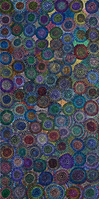 Aboriginal Artwork by Tina Napangardi Martin, Jinti-parnta Jukurrpa, 182x91cm