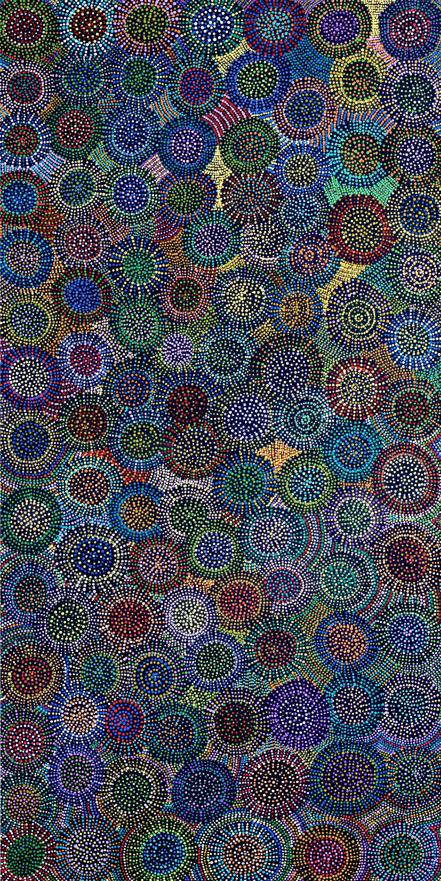 Aboriginal Artwork by Tina Napangardi Martin, Jinti-parnta Jukurrpa, 182x91cm