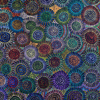 Aboriginal Artwork by Tina Napangardi Martin, Jinti-parnta Jukurrpa, 182x91cm