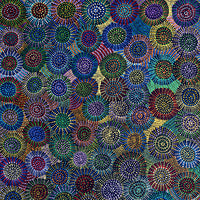 Aboriginal Artwork by Tina Napangardi Martin, Jinti-parnta Jukurrpa, 182x91cm