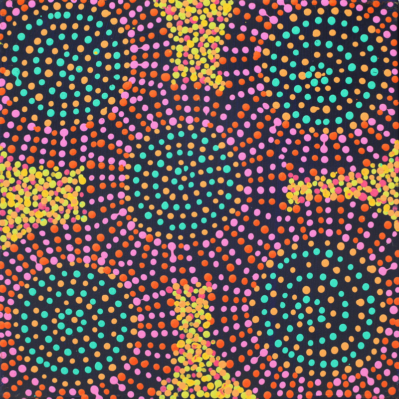 Aboriginal Artwork by Tina Napangardi Martin, Jinti-parnta Jukurrpa, 30x30cm