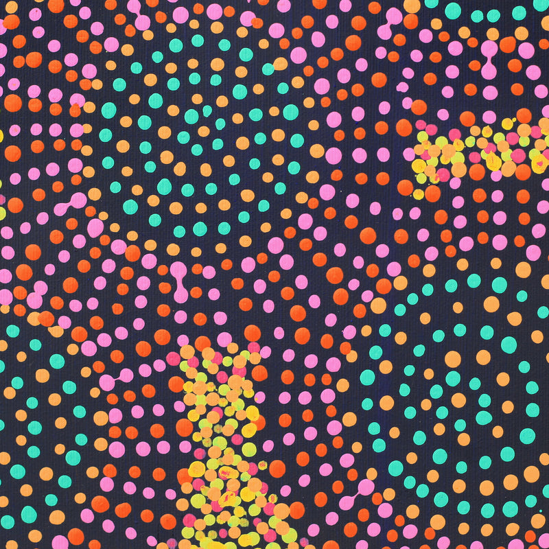 Aboriginal Artwork by Tina Napangardi Martin, Jinti-parnta Jukurrpa, 30x30cm