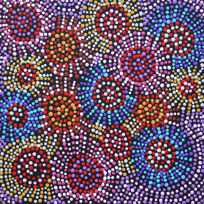 Aboriginal Artwork by Tina Napangardi Martin, Jinti-parnta Jukurrpa, 30x30cm