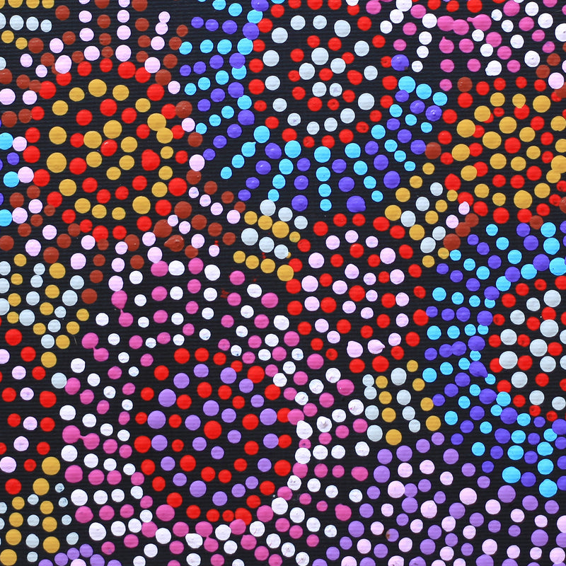 Aboriginal Artwork by Tina Napangardi Martin, Jinti-parnta Jukurrpa, 30x30cm