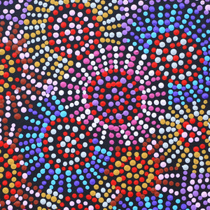 Aboriginal Artwork by Tina Napangardi Martin, Jinti-parnta Jukurrpa, 30x30cm - ART ARK®