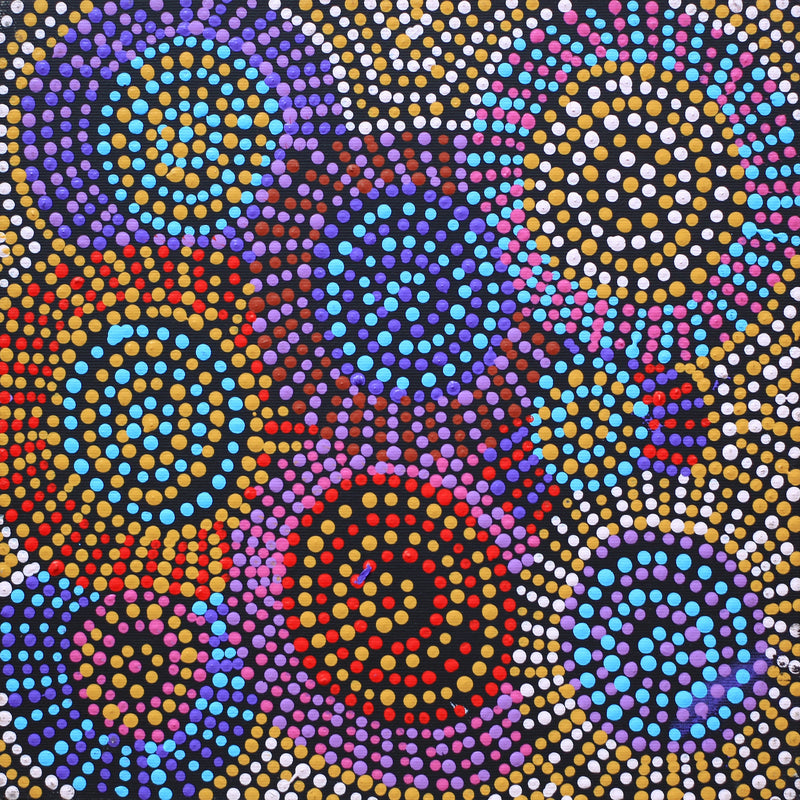 Aboriginal Artwork by Tina Napangardi Martin, Jinti-parnta Jukurrpa, 30x30cm
